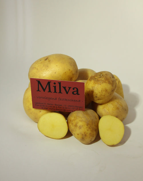 Milva Kartoffeln